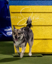 2025-10-11-BANDA-SAT-467