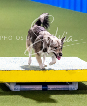 2025-10-11-BANDA-SAT-471