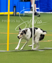 2025-10-11-BANDA-SAT-477