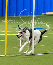 2025-10-11-BANDA-SAT-482