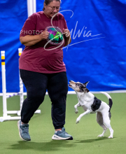 2025-10-11-BANDA-SAT-485