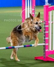 2025-10-11-BANDA-SAT-491