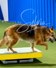 2025-10-11-BANDA-SAT-497