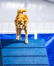 2025-10-11-BANDA-SAT-505