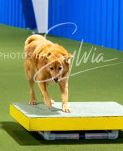 2025-10-11-BANDA-SAT-510