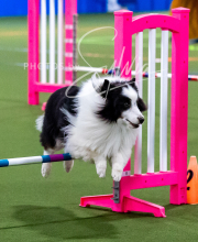 2025-10-11-BANDA-SAT-511