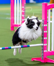 2025-10-11-BANDA-SAT-515