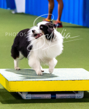 2025-10-11-BANDA-SAT-520