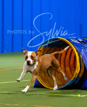 2025-10-11-BANDA-SAT-530