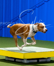 2025-10-11-BANDA-SAT-536