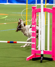 2025-10-11-BANDA-SAT-539