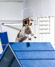 2025-10-11-BANDA-SAT-547