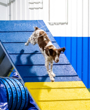 2025-10-11-BANDA-SAT-549