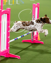 2025-10-11-BANDA-SAT-553