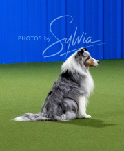 2025-10-11-BANDA-SAT-561