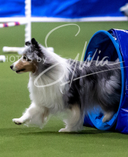 2025-10-11-BANDA-SAT-562