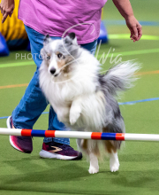 2025-10-11-BANDA-SAT-565