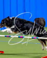 2025-10-11-BANDA-SAT-568