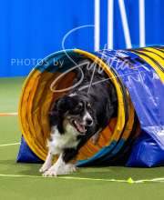 2025-10-11-BANDA-SAT-570