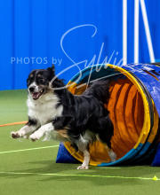 2025-10-11-BANDA-SAT-572