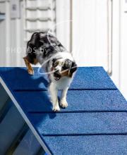 2025-10-11-BANDA-SAT-580