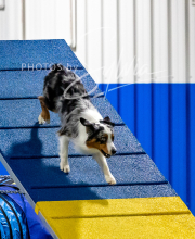 2025-10-11-BANDA-SAT-582