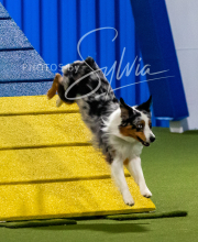 2025-10-11-BANDA-SAT-584