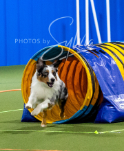 2025-10-11-BANDA-SAT-586