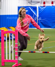 2025-10-11-BANDA-SAT-593