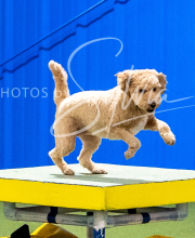 2025-10-11-BANDA-SAT-605