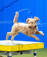 2025-10-11-BANDA-SAT-606