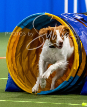 2025-10-11-BANDA-SAT-607