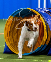 2025-10-11-BANDA-SAT-608