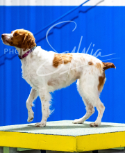 2025-10-11-BANDA-SAT-612