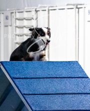 2025-10-11-BANDA-SAT-616