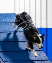 2025-10-11-BANDA-SAT-619