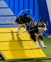 2025-10-11-BANDA-SAT-620