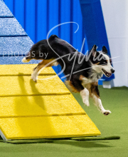 2025-10-11-BANDA-SAT-628