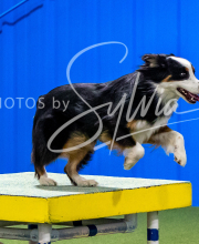 2025-10-11-BANDA-SAT-630