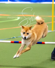 2025-10-11-BANDA-SAT-657