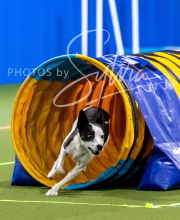 2025-10-11-BANDA-SAT-661