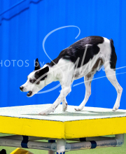 2025-10-11-BANDA-SAT-668