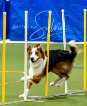 2025-10-11-BANDA-SAT-671