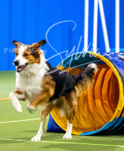 2025-10-11-BANDA-SAT-686