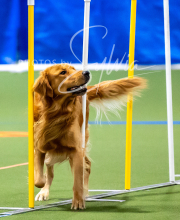 2025-10-11-BANDA-SAT-703