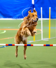 2025-10-11-BANDA-SAT-705