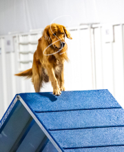 2025-10-11-BANDA-SAT-708