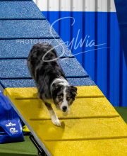 2025-10-11-BANDA-SAT-720