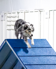 2025-10-11-BANDA-SAT-725