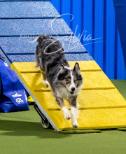 2025-10-11-BANDA-SAT-728